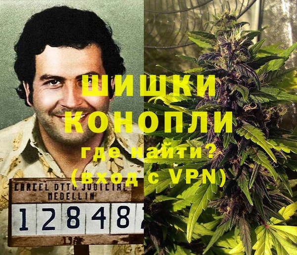 индика Абаза