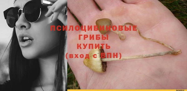 индика Абаза
