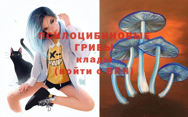 метадон Абинск