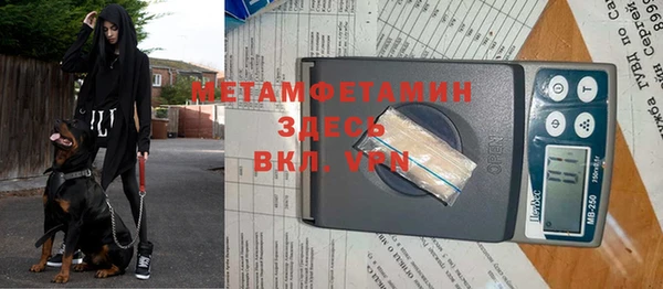 индика Абаза