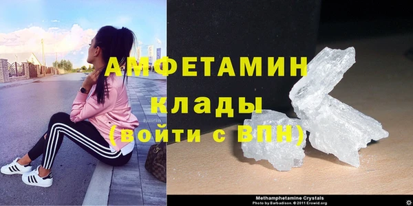 индика Абаза