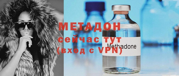 индика Абаза