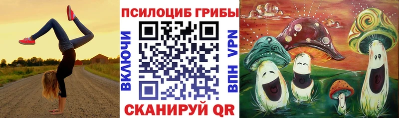 Псилоцибиновые грибы GOLDEN TEACHER  Сусуман 